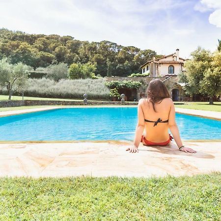 לינה וארוחת בוקר סקנדיצ'י Tenuta Le Viste מראה חיצוני תמונה